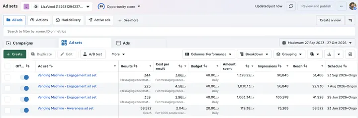 LizaVend — Meta Ads campaign results